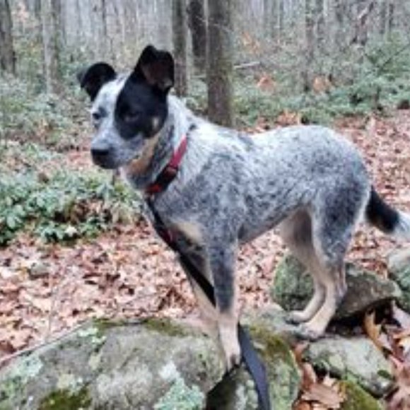 Meet your Posher, Jay - Picture 1 of 2